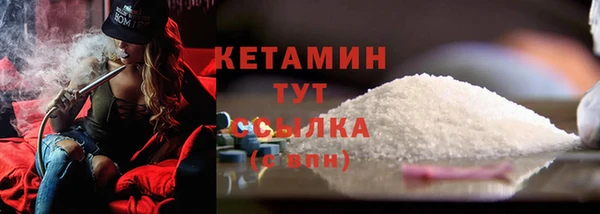 шишки Кукмор