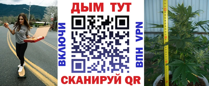 Бошки Шишки план  Чегем 